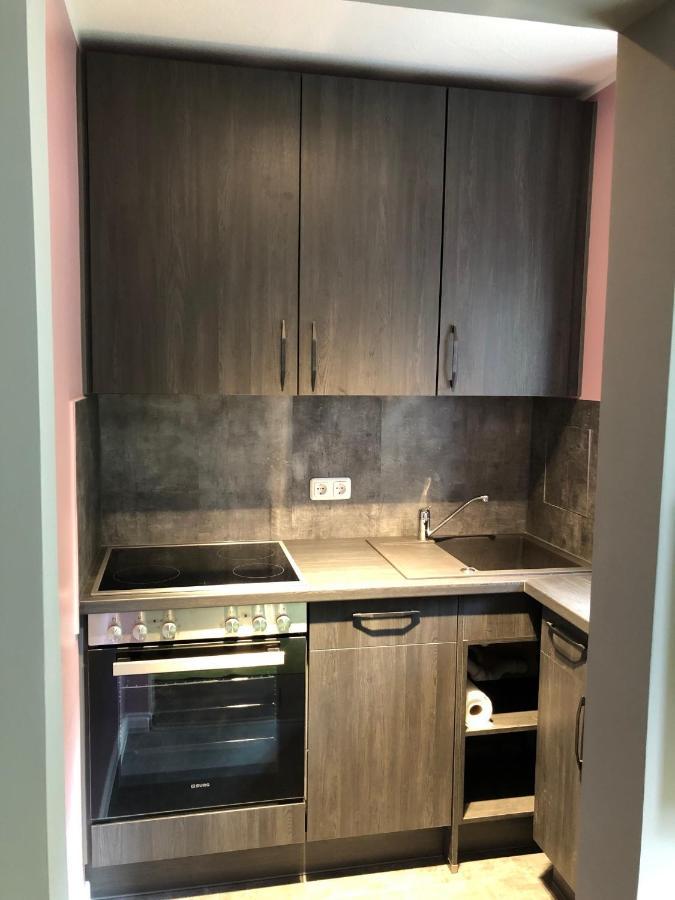 Studio Apartment In Dresden-Neustadt 外观 照片